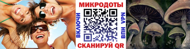 где купить наркотик  Малаховка  Псилоцибиновые грибы GOLDEN TEACHER 