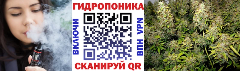 Конопля планчик KRAKEN ССЫЛКА Малаховка